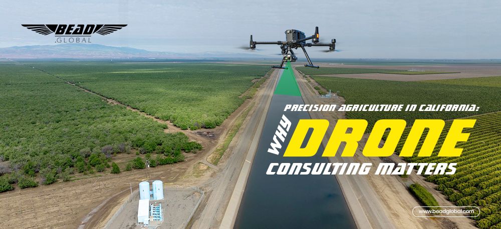 Drone Consulting for Agriculture 