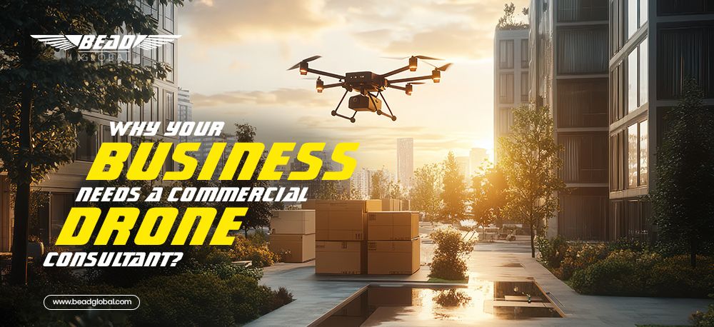 Business Needs a Commercial Drone Consultant