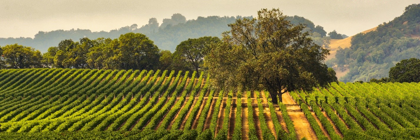 Agriculture Drone Consulting California