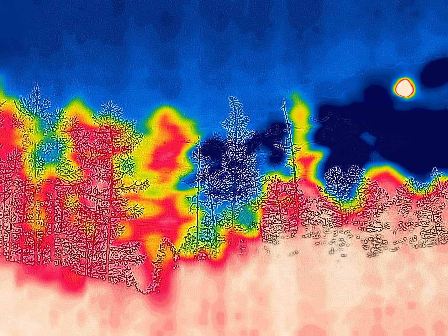 environmental drone consulting services