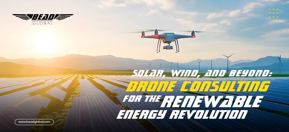 Drone Consulting for the Renewable Energy