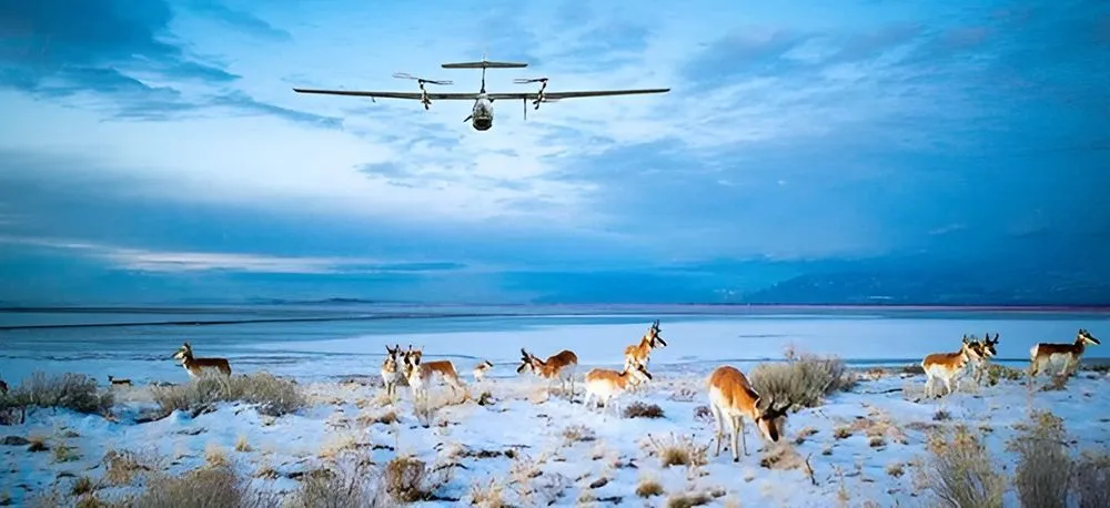 Drones Land Management