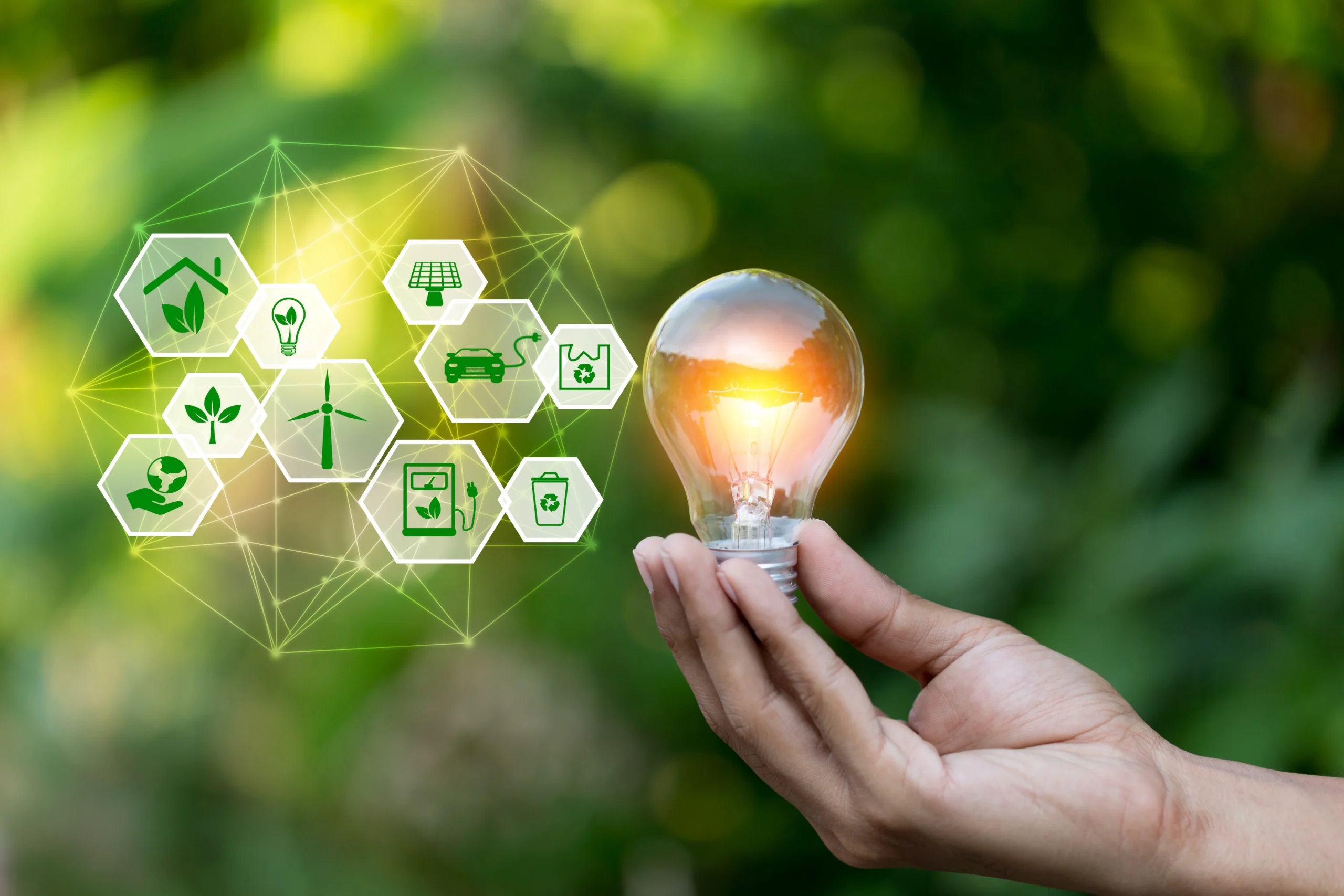 Environmental drone consulting California