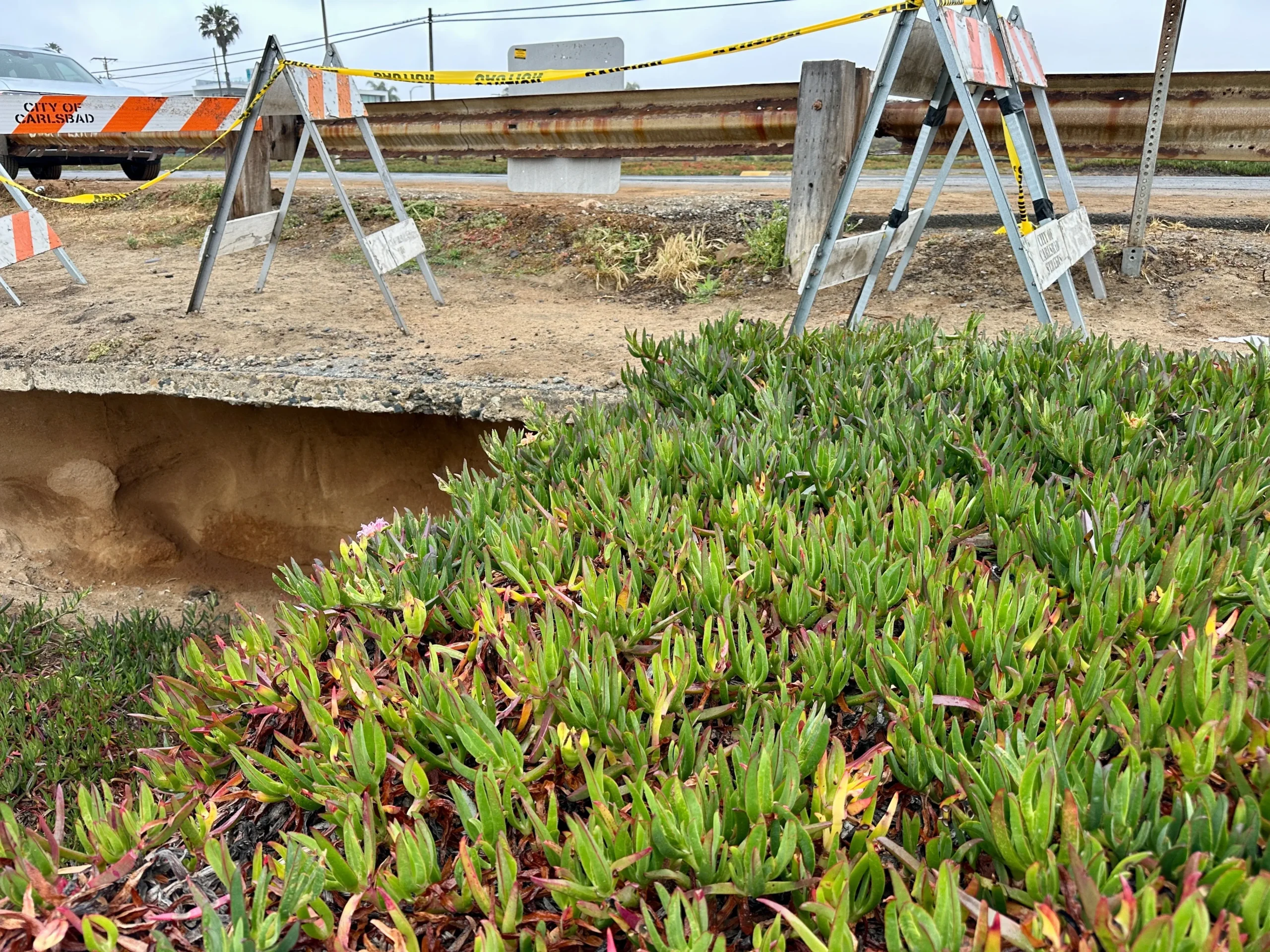 Carlsbad California structural damage coastal erosion